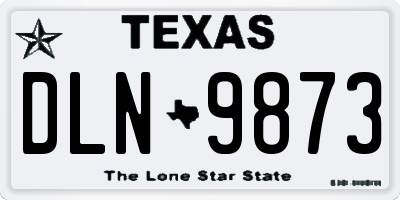 TX license plate DLN9873