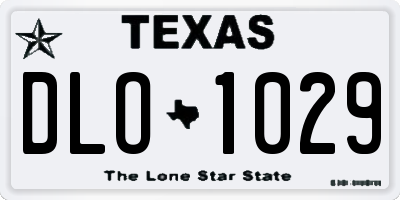 TX license plate DLO1029