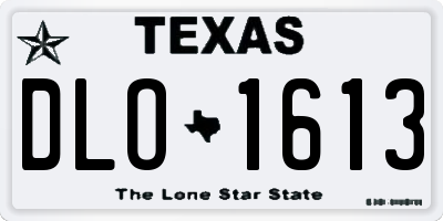 TX license plate DLO1613