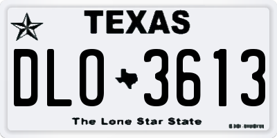 TX license plate DLO3613