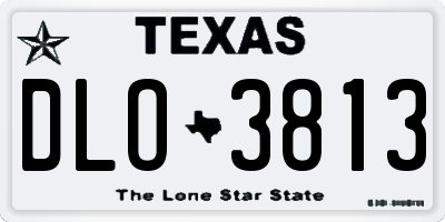 TX license plate DLO3813