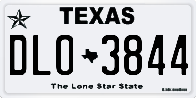 TX license plate DLO3844