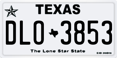 TX license plate DLO3853