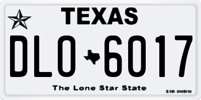 TX license plate DLO6017