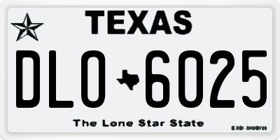 TX license plate DLO6025