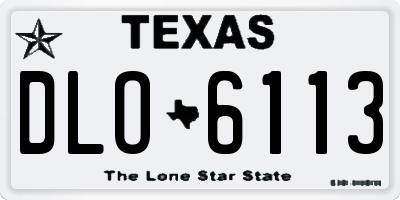 TX license plate DLO6113