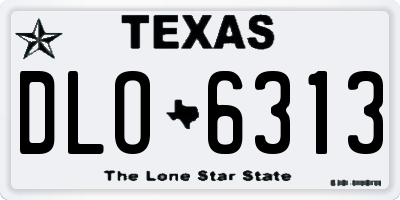TX license plate DLO6313