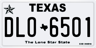 TX license plate DLO6501