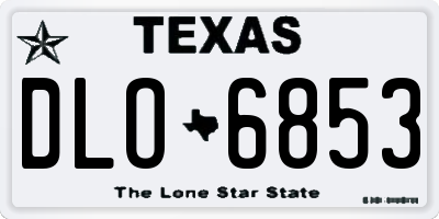 TX license plate DLO6853