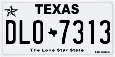 TX license plate DLO7313
