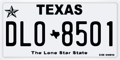 TX license plate DLO8501