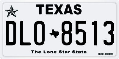 TX license plate DLO8513
