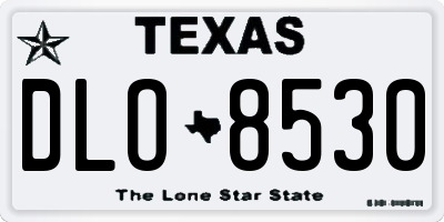 TX license plate DLO8530