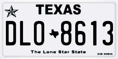 TX license plate DLO8613