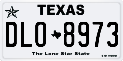 TX license plate DLO8973