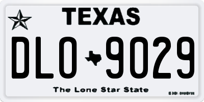 TX license plate DLO9029
