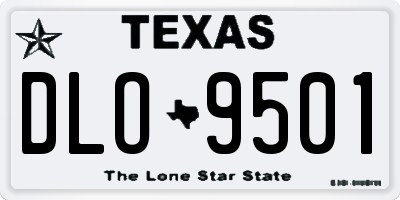 TX license plate DLO9501