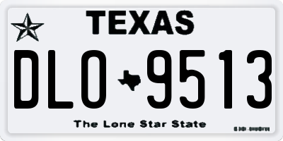 TX license plate DLO9513