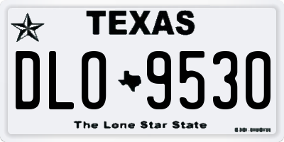 TX license plate DLO9530