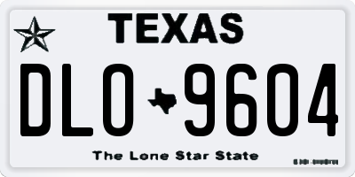 TX license plate DLO9604