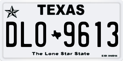 TX license plate DLO9613