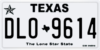 TX license plate DLO9614