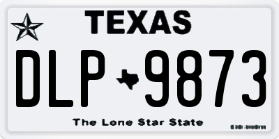 TX license plate DLP9873