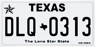 TX license plate DLQ0313
