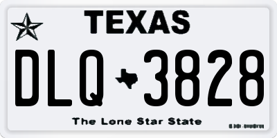 TX license plate DLQ3828