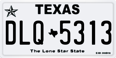 TX license plate DLQ5313