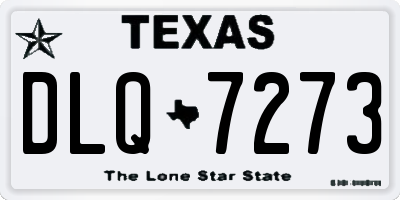 TX license plate DLQ7273