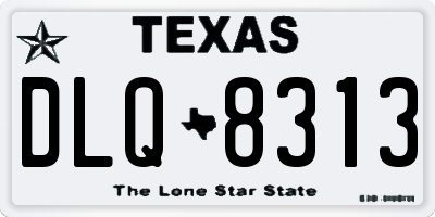 TX license plate DLQ8313