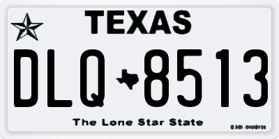 TX license plate DLQ8513