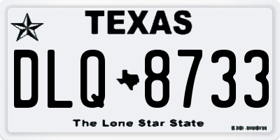TX license plate DLQ8733