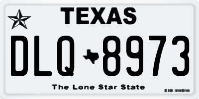 TX license plate DLQ8973