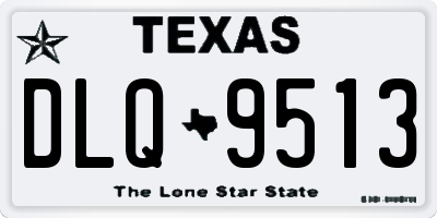 TX license plate DLQ9513