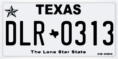 TX license plate DLR0313