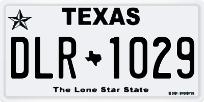 TX license plate DLR1029