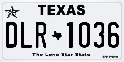TX license plate DLR1036
