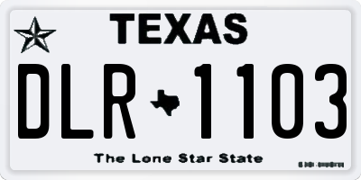 TX license plate DLR1103