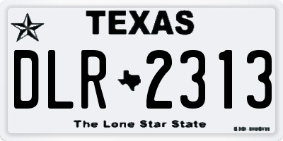 TX license plate DLR2313