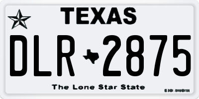 TX license plate DLR2875