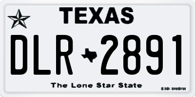 TX license plate DLR2891