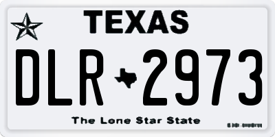 TX license plate DLR2973