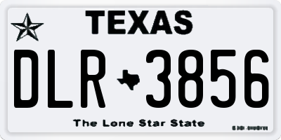TX license plate DLR3856