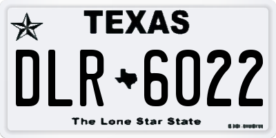 TX license plate DLR6022
