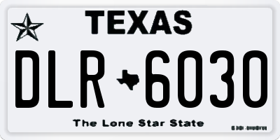 TX license plate DLR6030