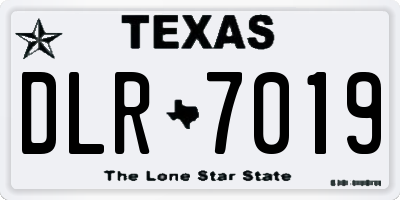 TX license plate DLR7019