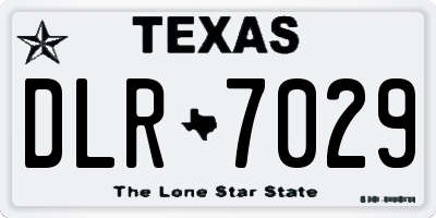 TX license plate DLR7029