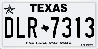 TX license plate DLR7313